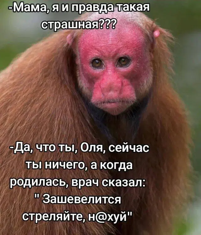 Дичка четверга страничка