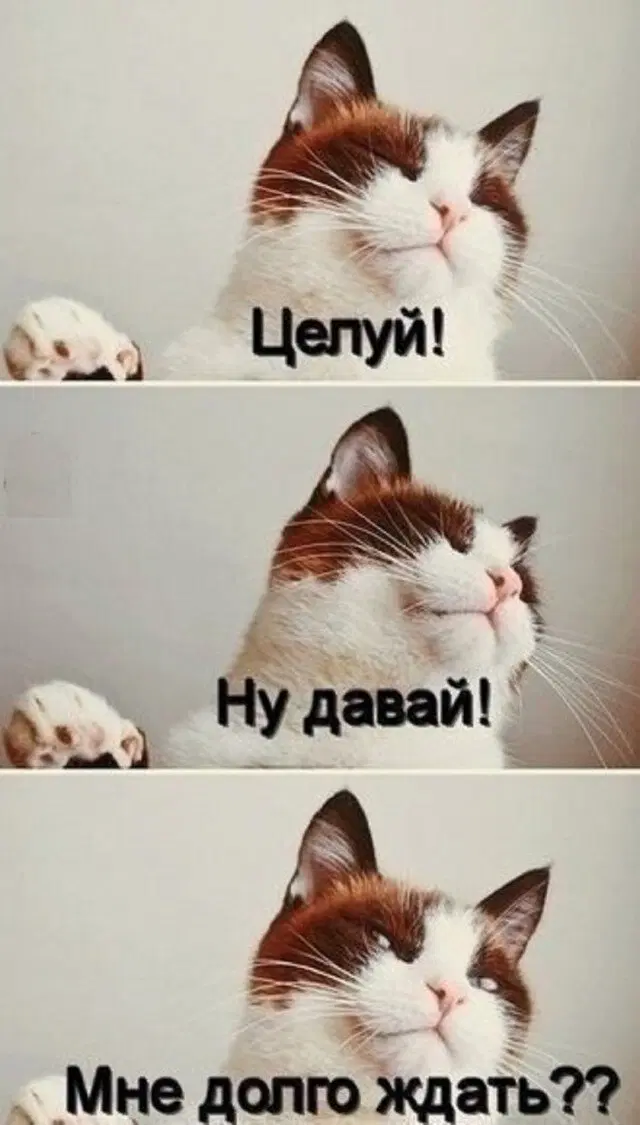 Дичка четверга страничка