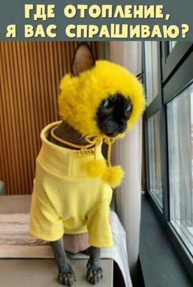 Дичка четверга страничка