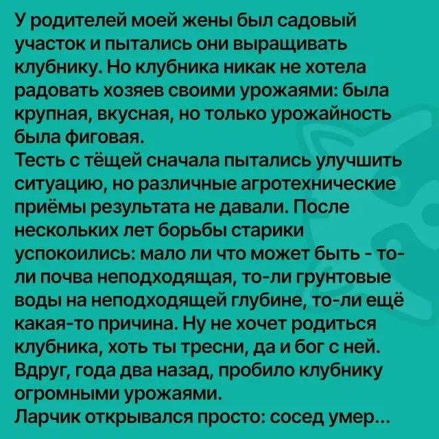 Дичка четверга страничка