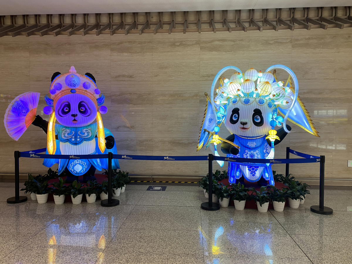 Эти светящиеся панды постоянно меняют цвет.