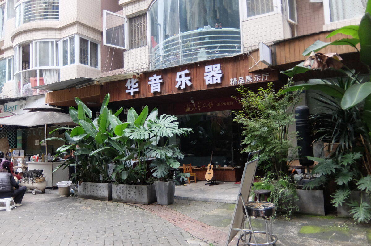 Рядом был магазин чая и напротив него стояли живые чайные кусты, но мы их не фотографировали почему-то.