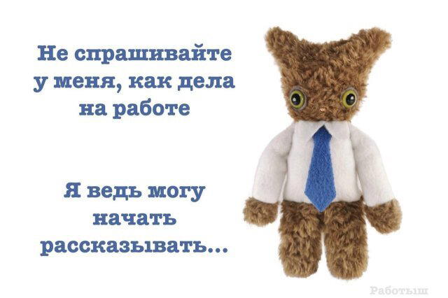 Дичка как позитив пятницы