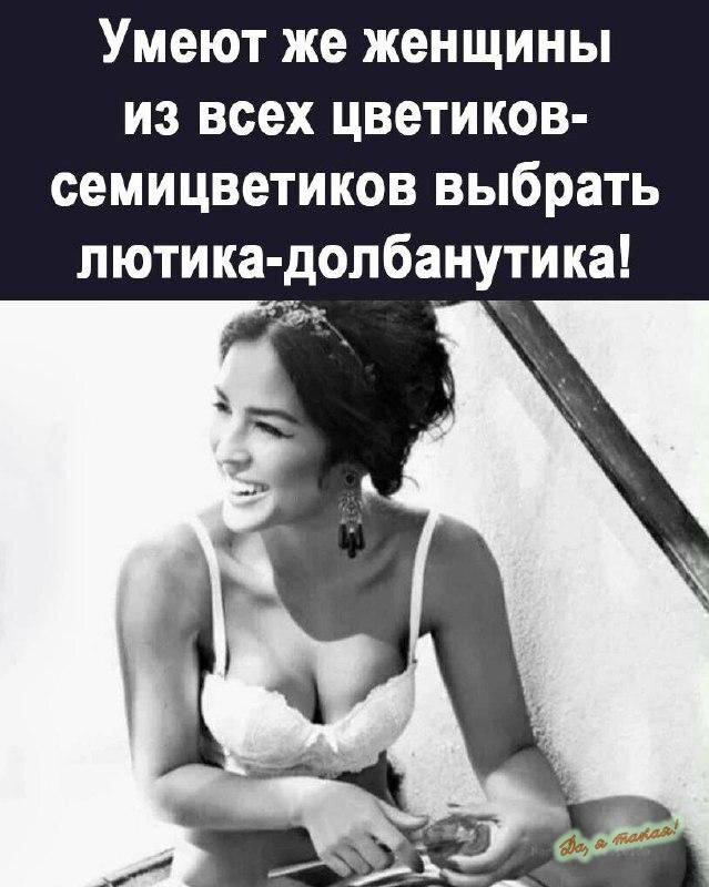 Дичка как позитив пятницы