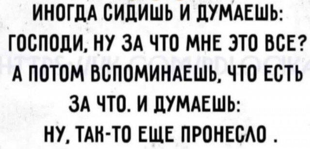 Дичка как позитив пятницы