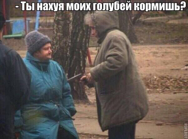 Дичка как позитив пятницы