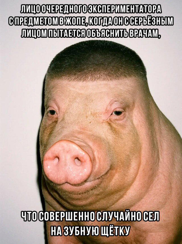 Дичка как позитив пятницы