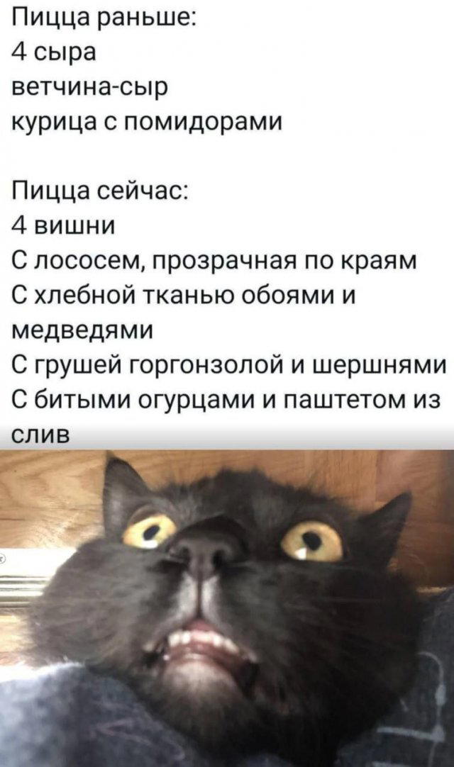 Дичка как позитив пятницы