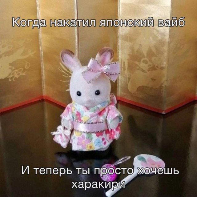 Дичка как позитив пятницы