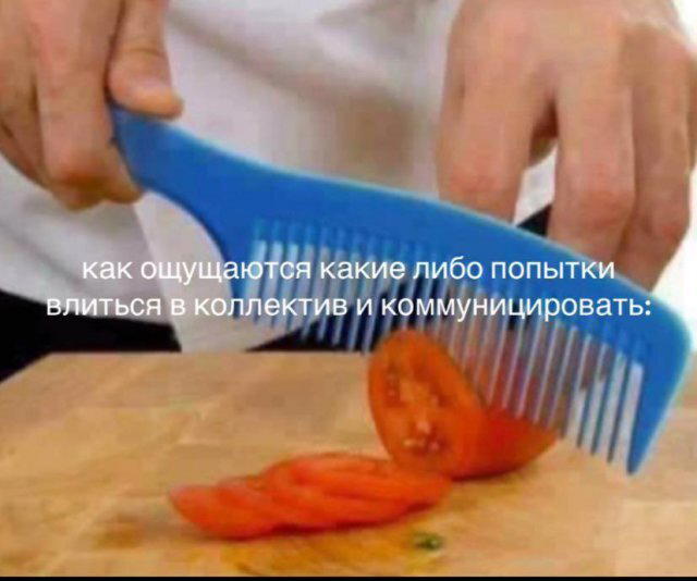 Дичка как позитив пятницы