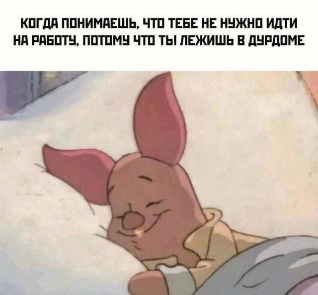 Дичка как позитив пятницы