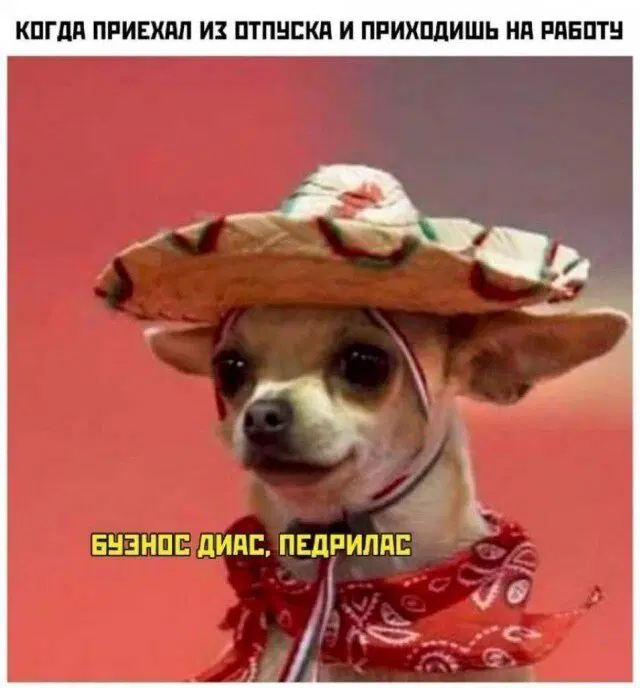 Дичка как позитив пятницы