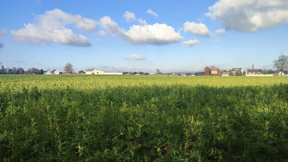 Интересное место