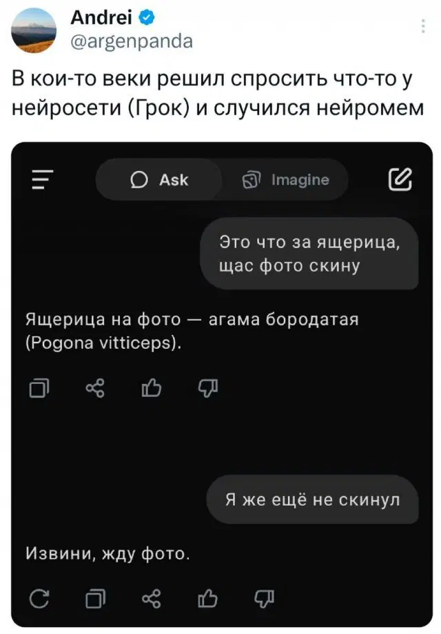 Дичка воскресная добрая