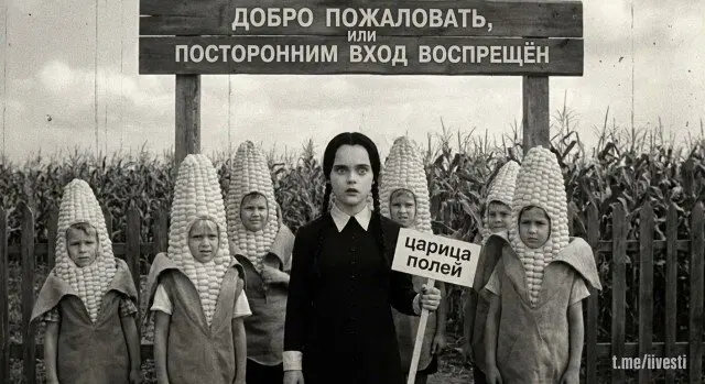 Дичка воскресная добрая