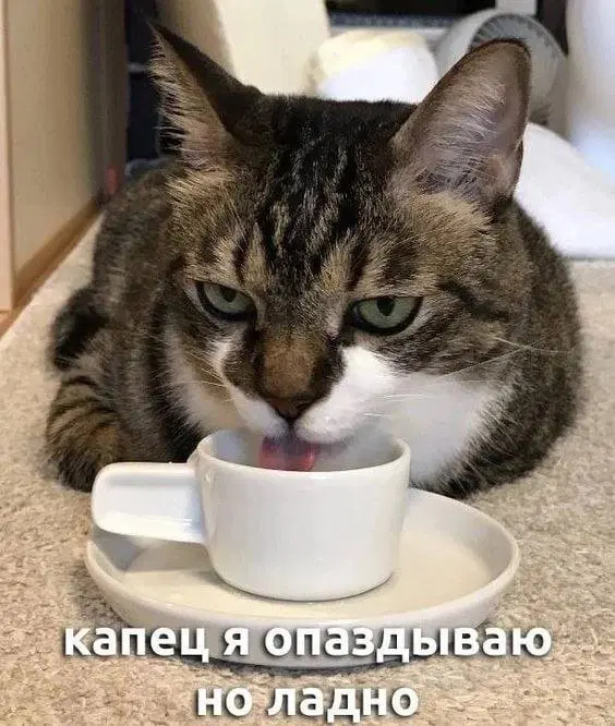 Дичка воскресная добрая