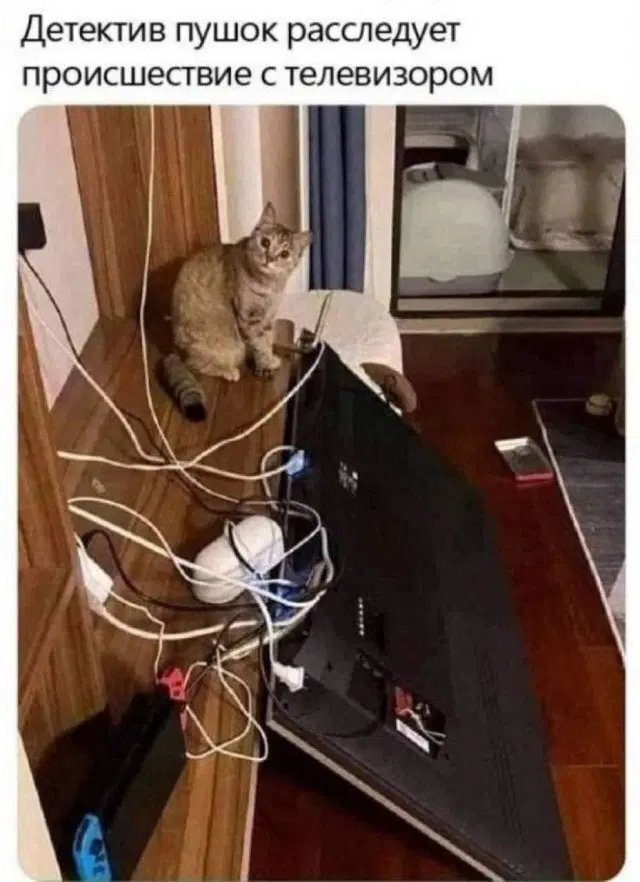 Дичка воскресная добрая