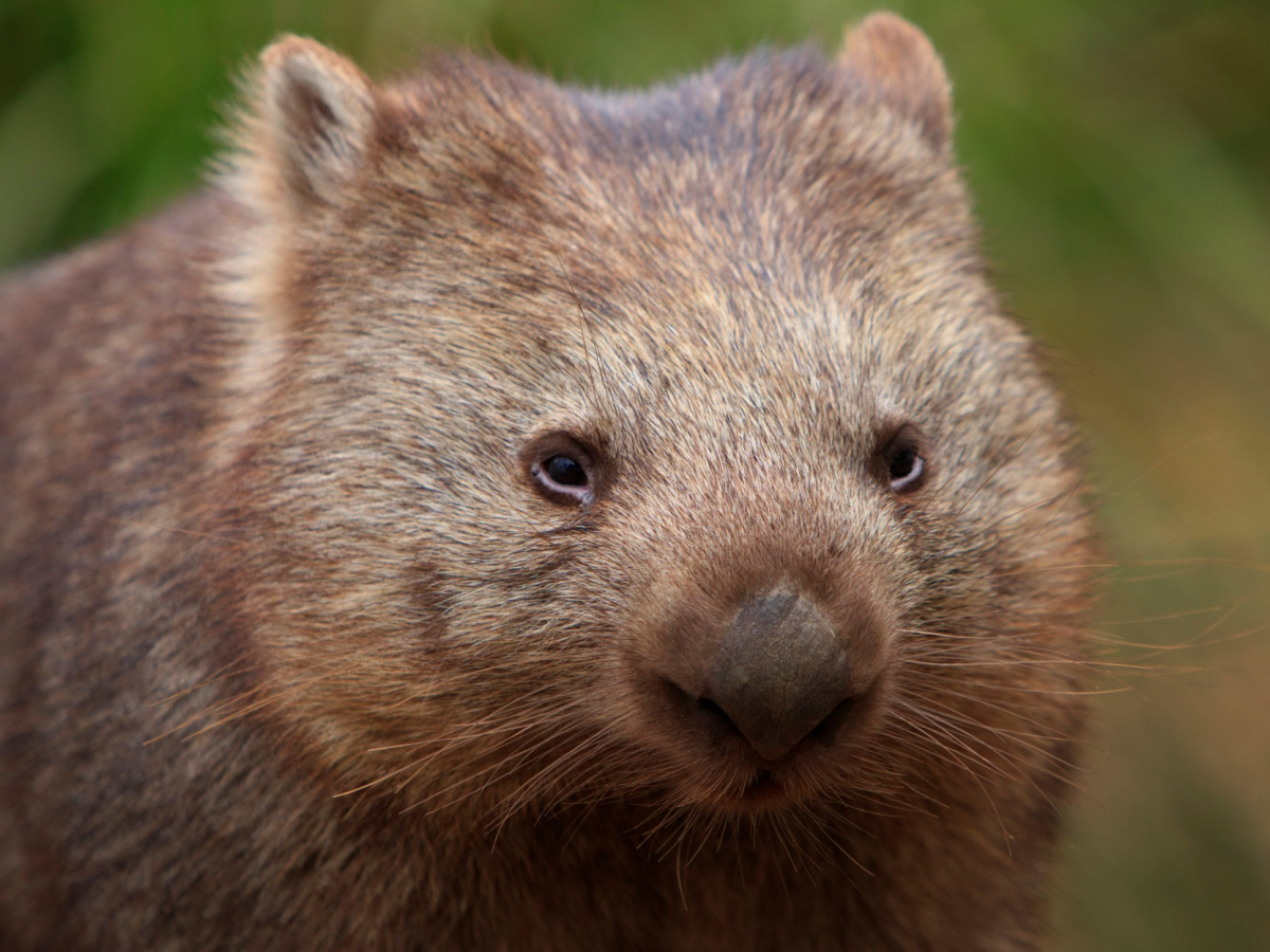 Как жить эту жизнь?