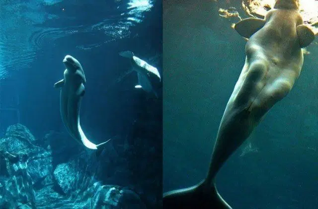 Реальные монстры (что скрывают мифы)⁠