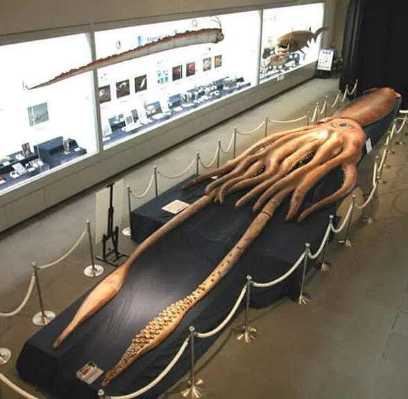 Реальные монстры (что скрывают мифы)⁠