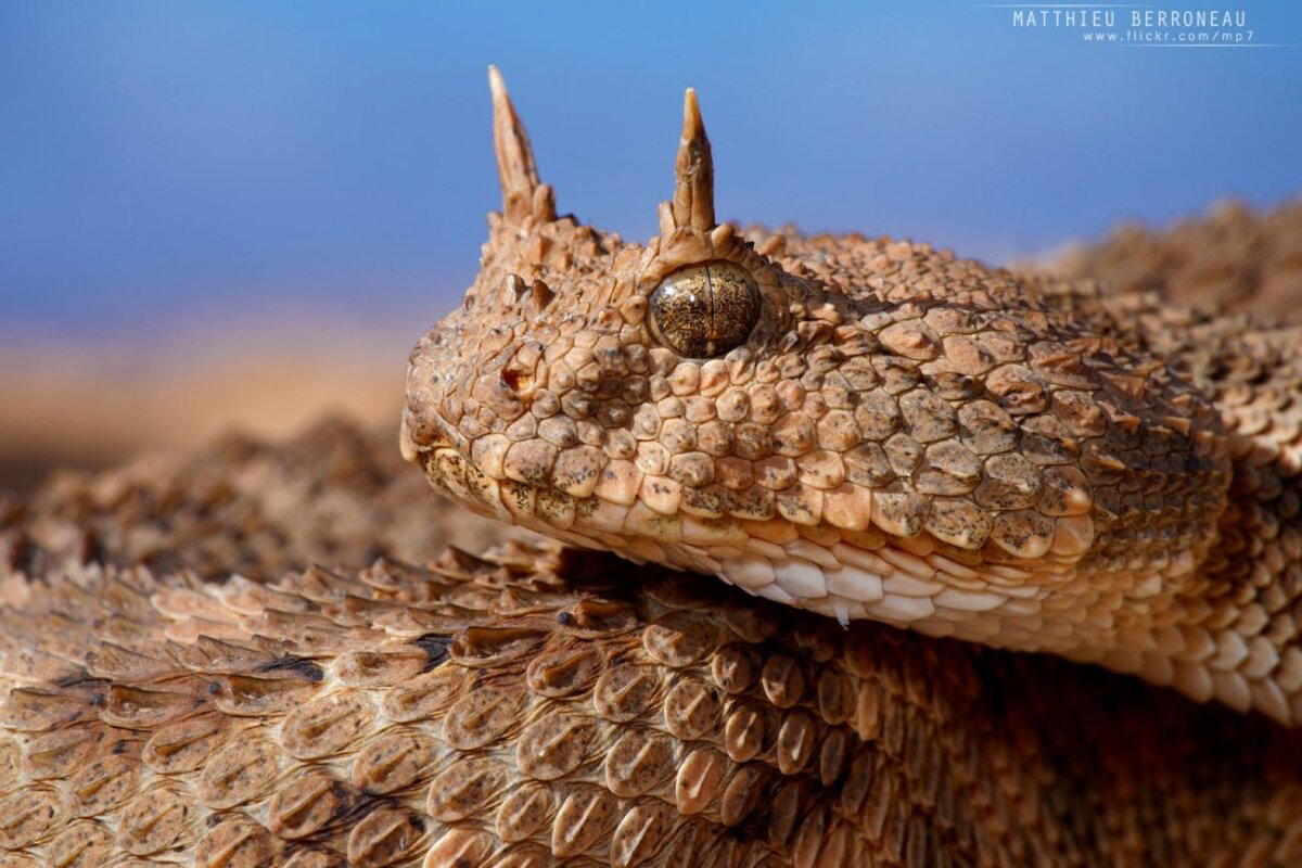 Реальные монстры (что скрывают мифы)⁠