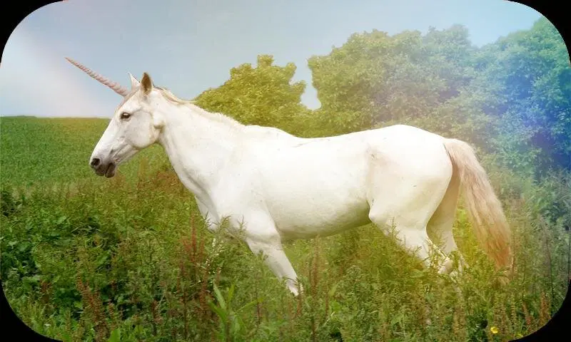 Реальные монстры (что скрывают мифы)⁠