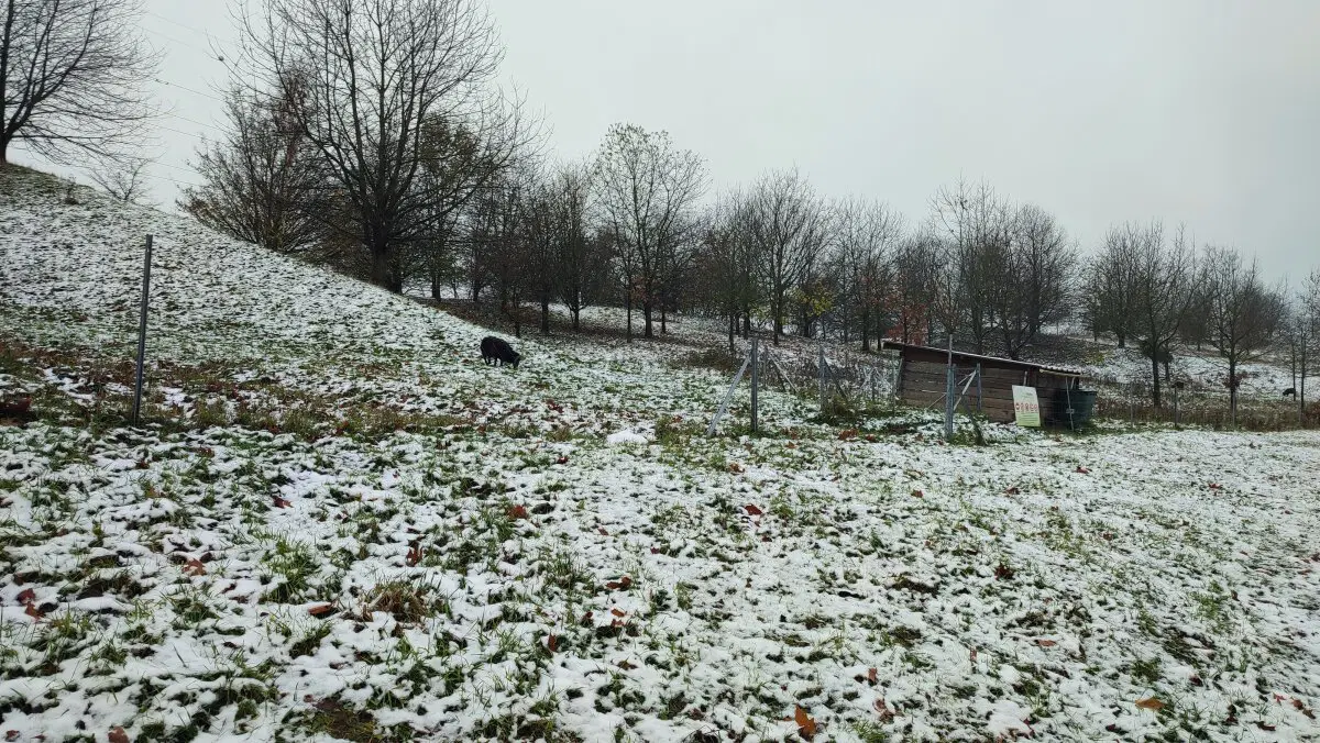 Снег тут нечасто