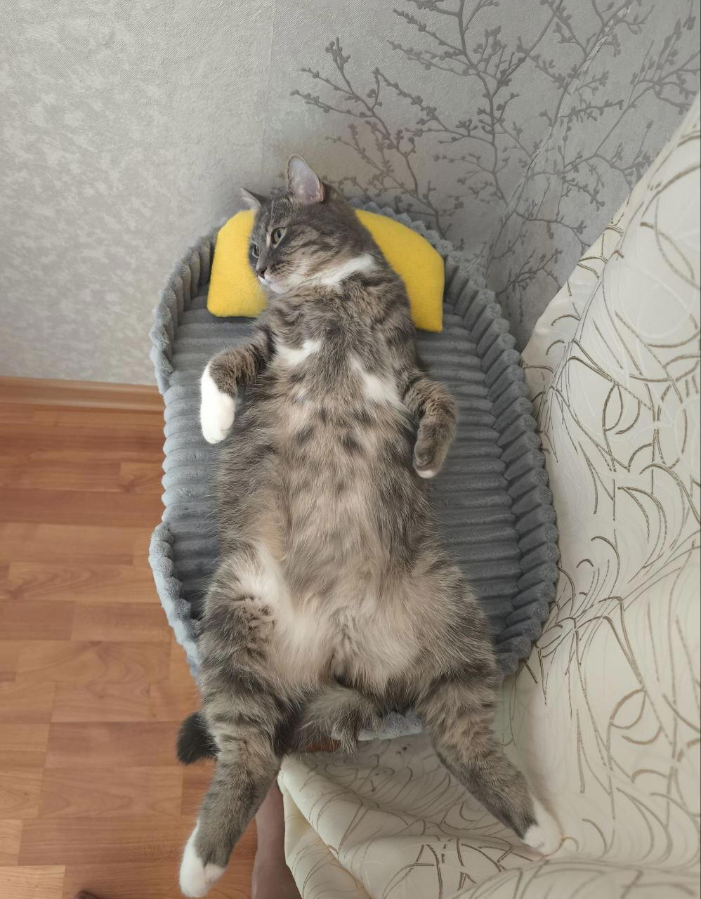 Крутой борец