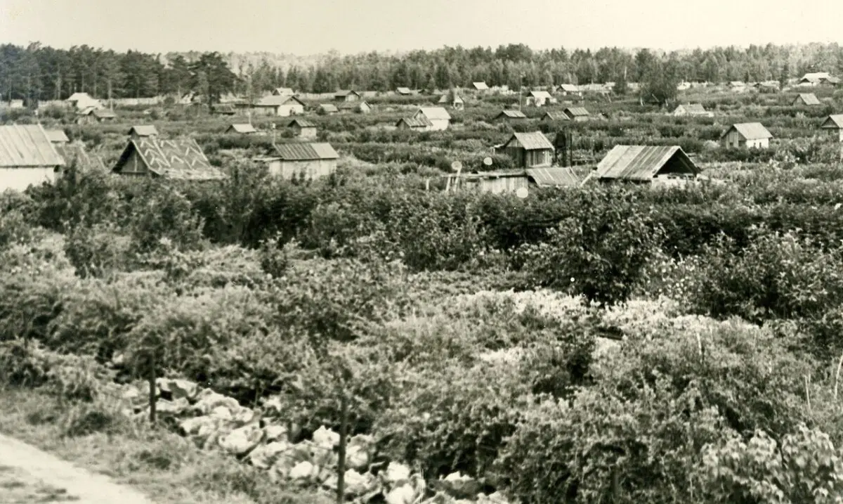 А вы знаете что?