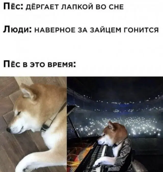Дичунька