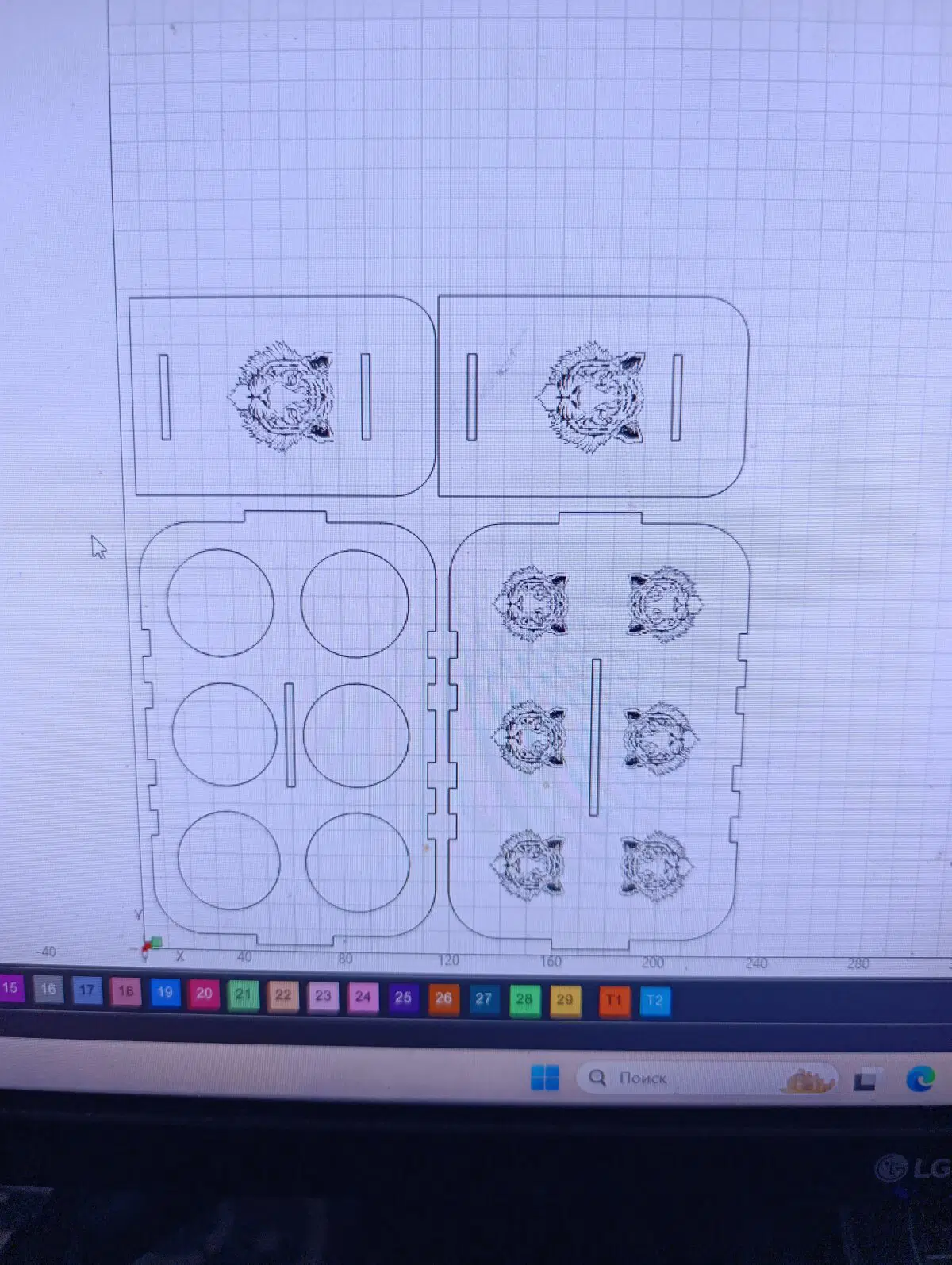 Очень много тигров