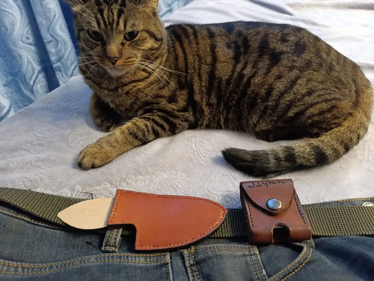 С компаньоном примеряем на ремень