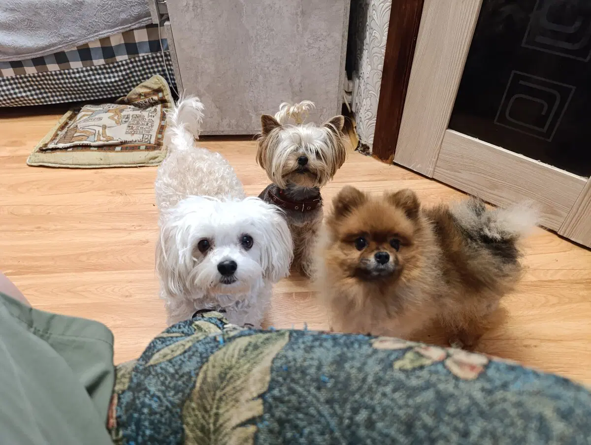 Вся банда передаёт вам всем привет.