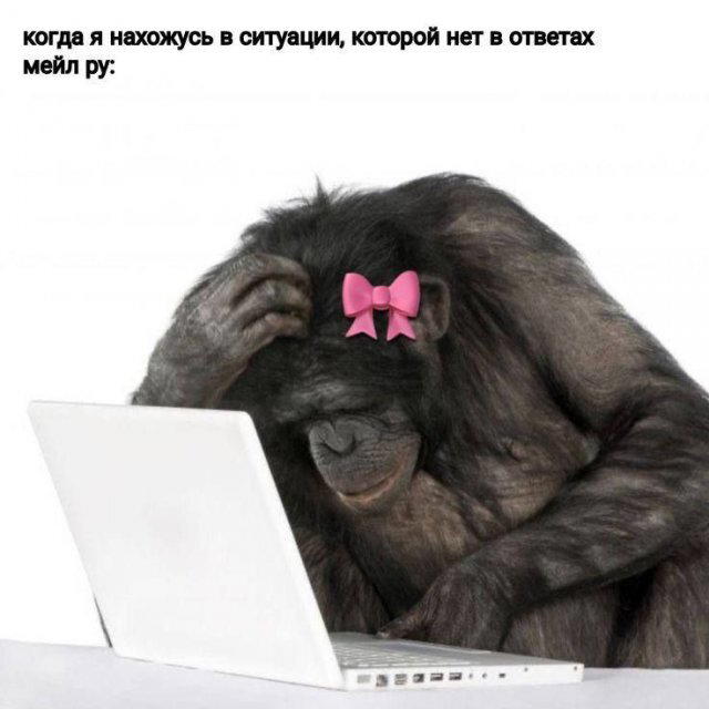 Дичка перед пятницей