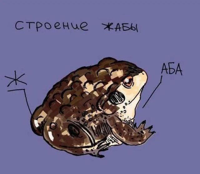 Дичка перед пятницей