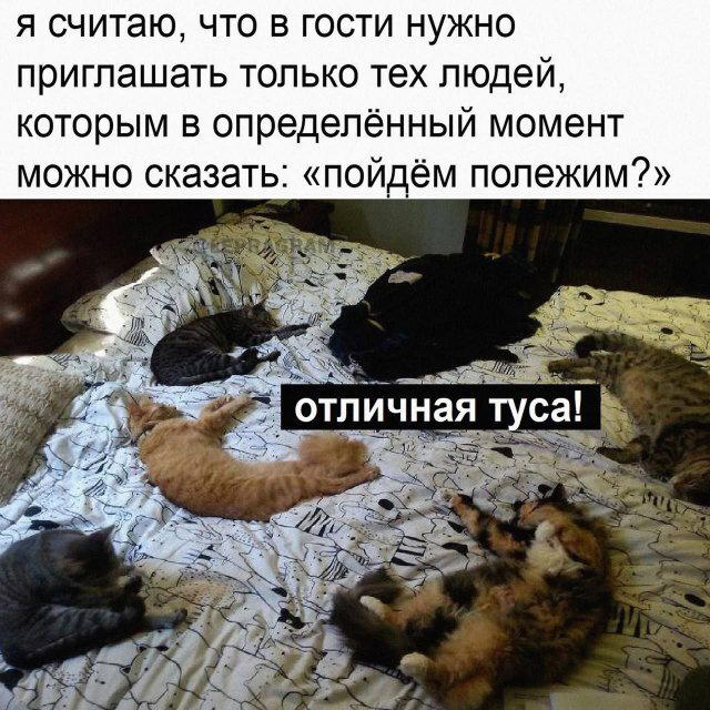 Дичка перед пятницей