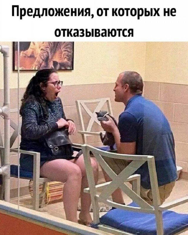 Дичка перед пятницей