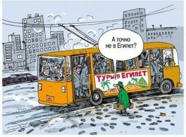 Дичка перед пятницей