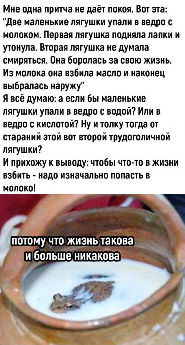 Дичка перед пятницей
