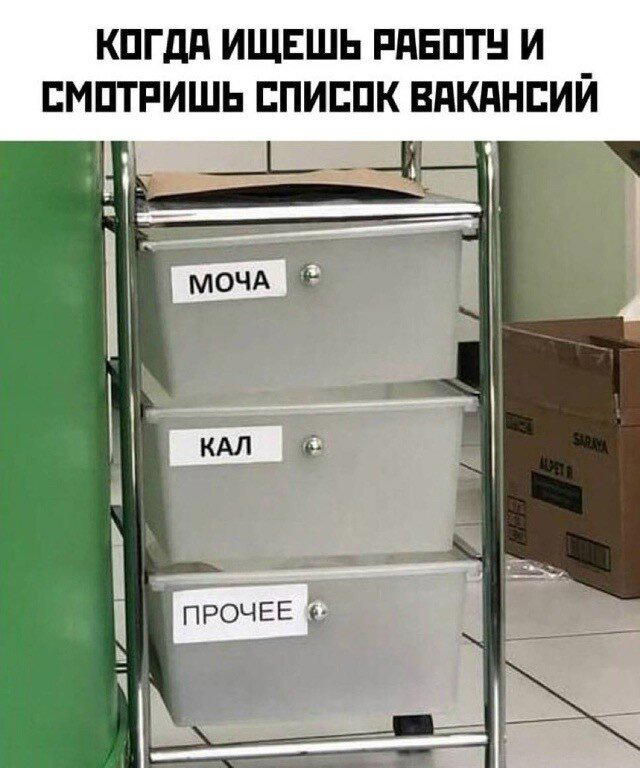 Дичка перед пятницей