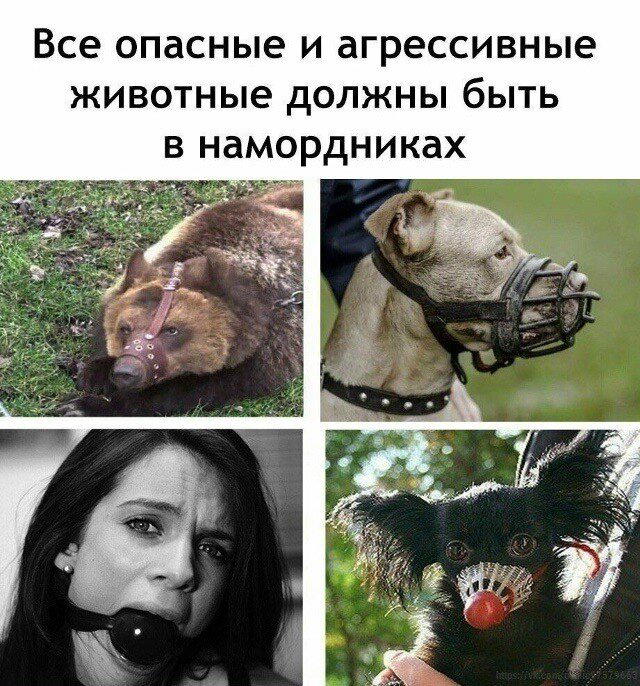 Дичка перед пятницей