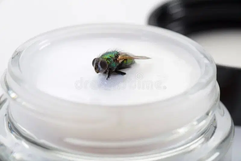 Икотка сотоварищи