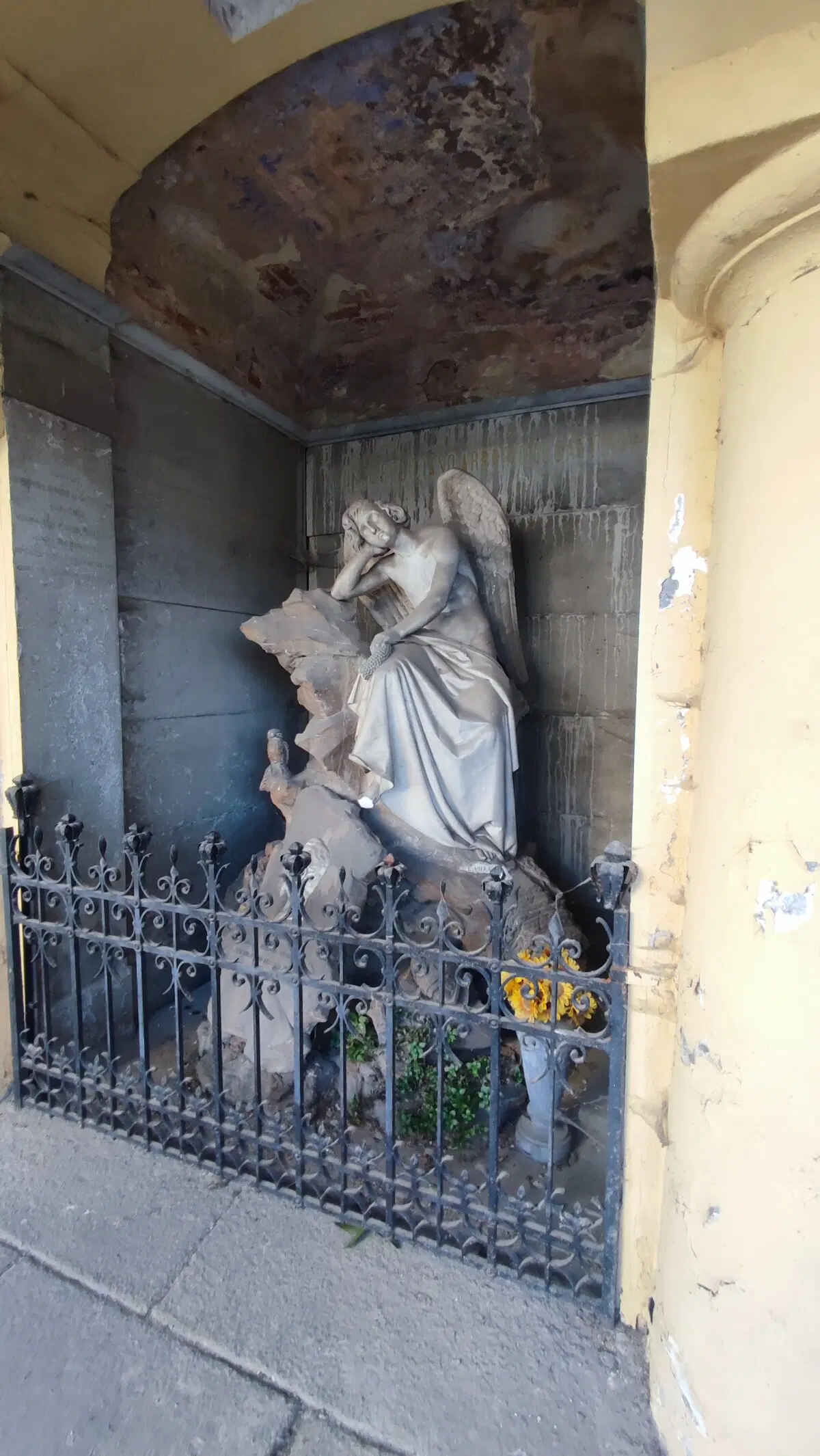 Видно, что давно не навещали