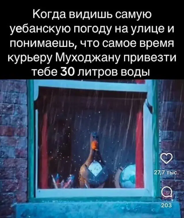 Дичка к выходным 🤸♂️