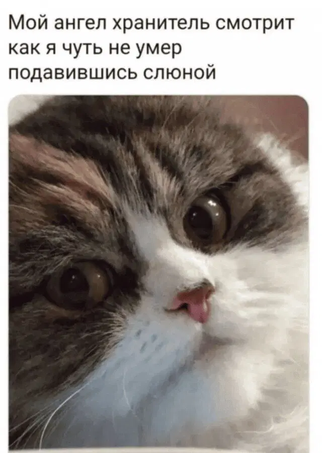 Дичка к выходным 🤸♂️