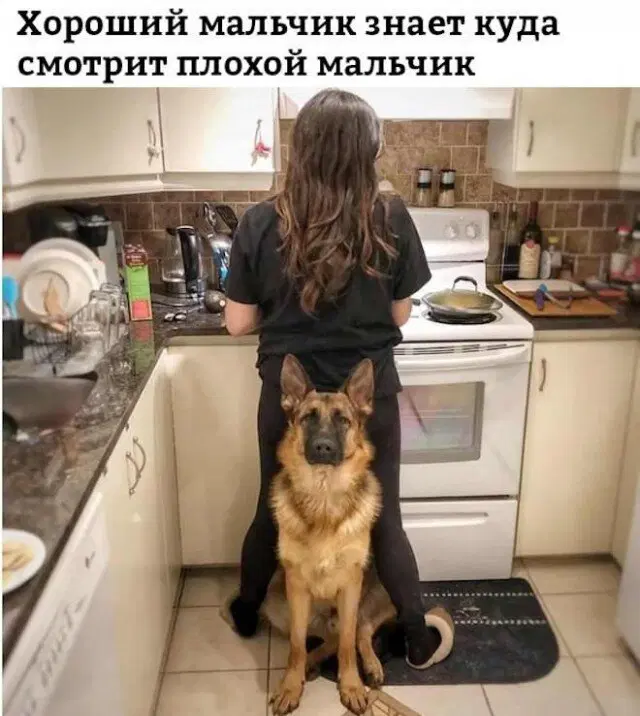 Дичка к выходным 🤸♂️