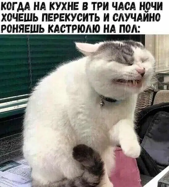 Дичка к выходным 🤸♂️