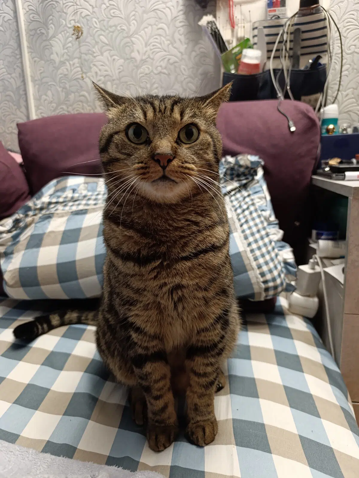 Компаньон передает вам всем привет