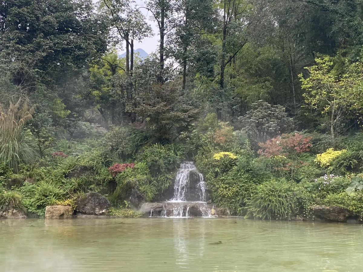 Китай. Ченду. Панды и плотина. 29 октября 2025.