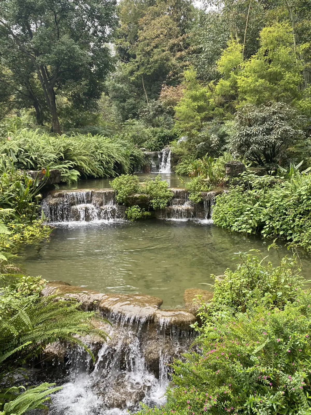 Китай. Ченду. Панды и плотина. 29 октября 2025.